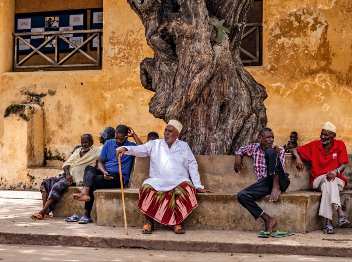 The fig tree outside the 19th-century fort in Lamu Old Town is a central meeting point for locals