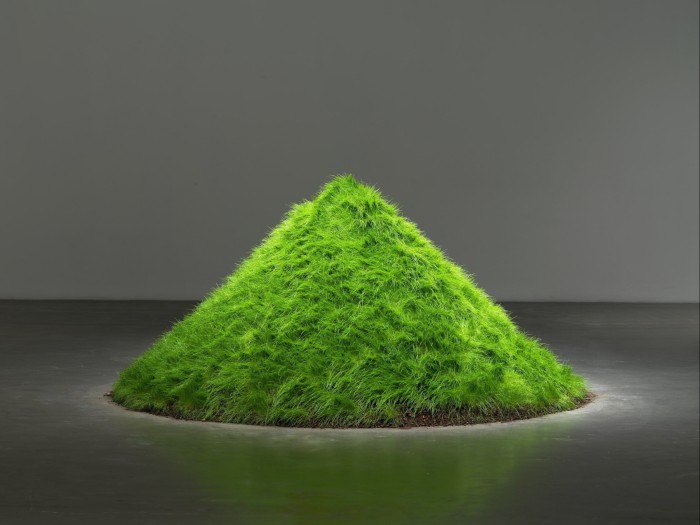 ‘Grass Grows’, 1967–69, by Hans Haacke: a small pyramid of artificial-growing grass 