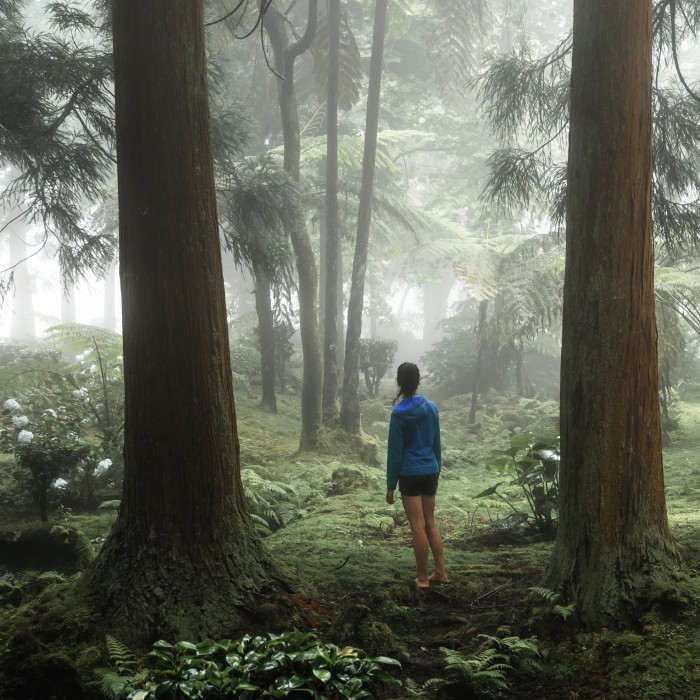 A person stands in the middle of the Sete Fontes Forest Park