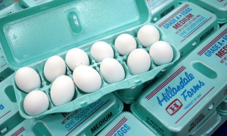 eggs in a carton