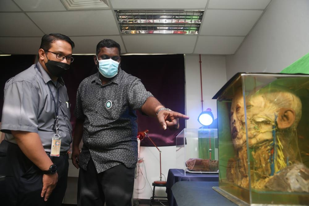 Visitors take a closer look at preserved body parts at Universiti Malaya's Human Anatomy Expo at its Human Anatomy Lab January 5, 2023. — Picture by Choo Choy May