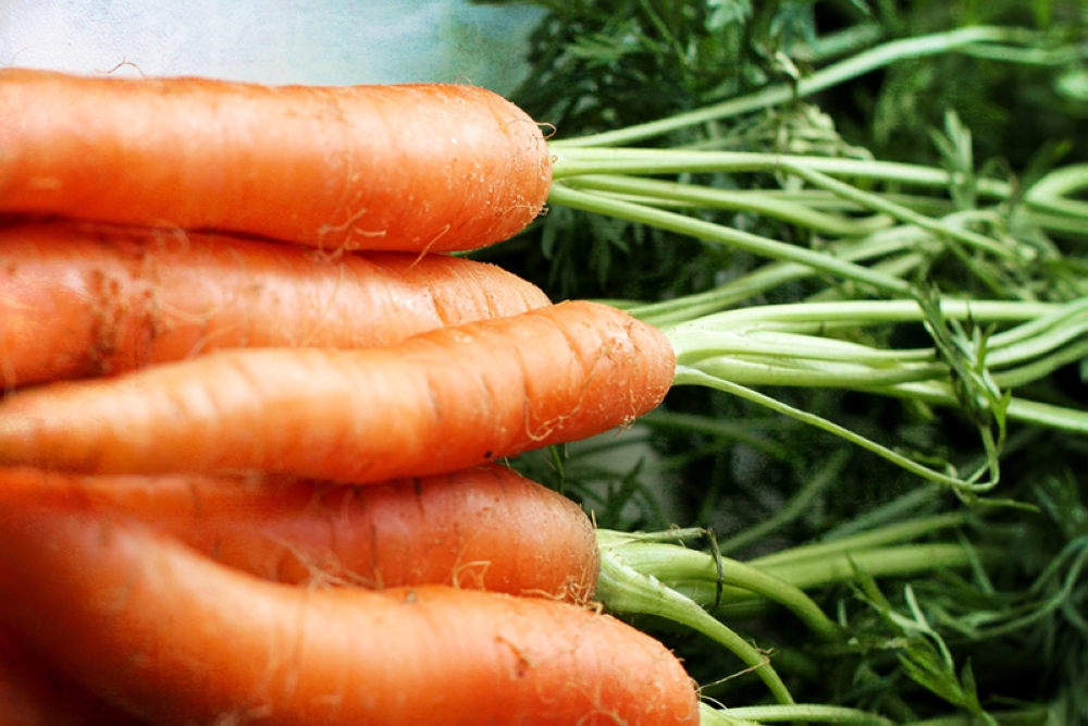 The red-orange colour of carrots brightens up the dish.