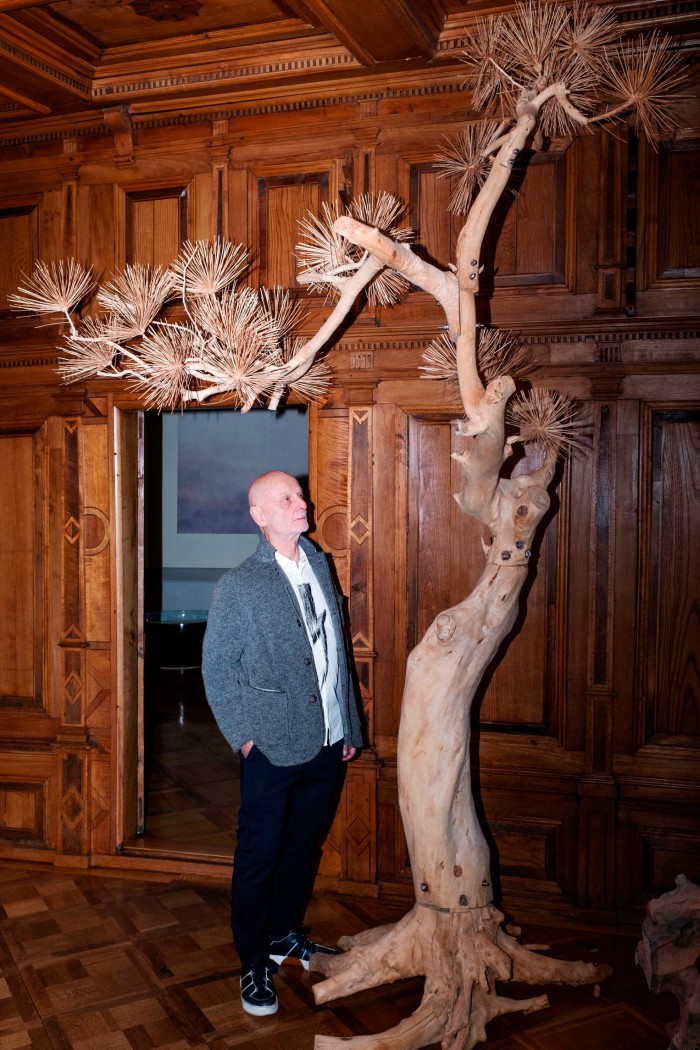 A man in a wood-panelled room looks at a spindly bare pine tree