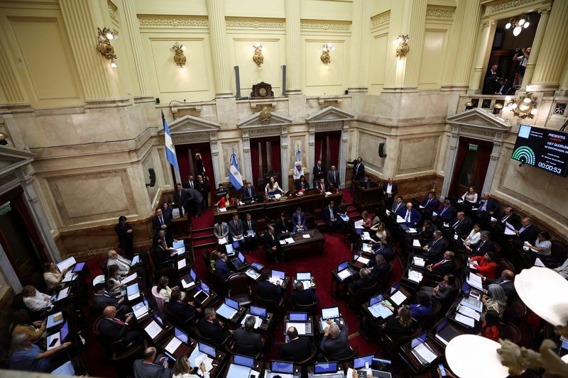 Argentina Senate rejects economic 'mega decree' in blow for Milei