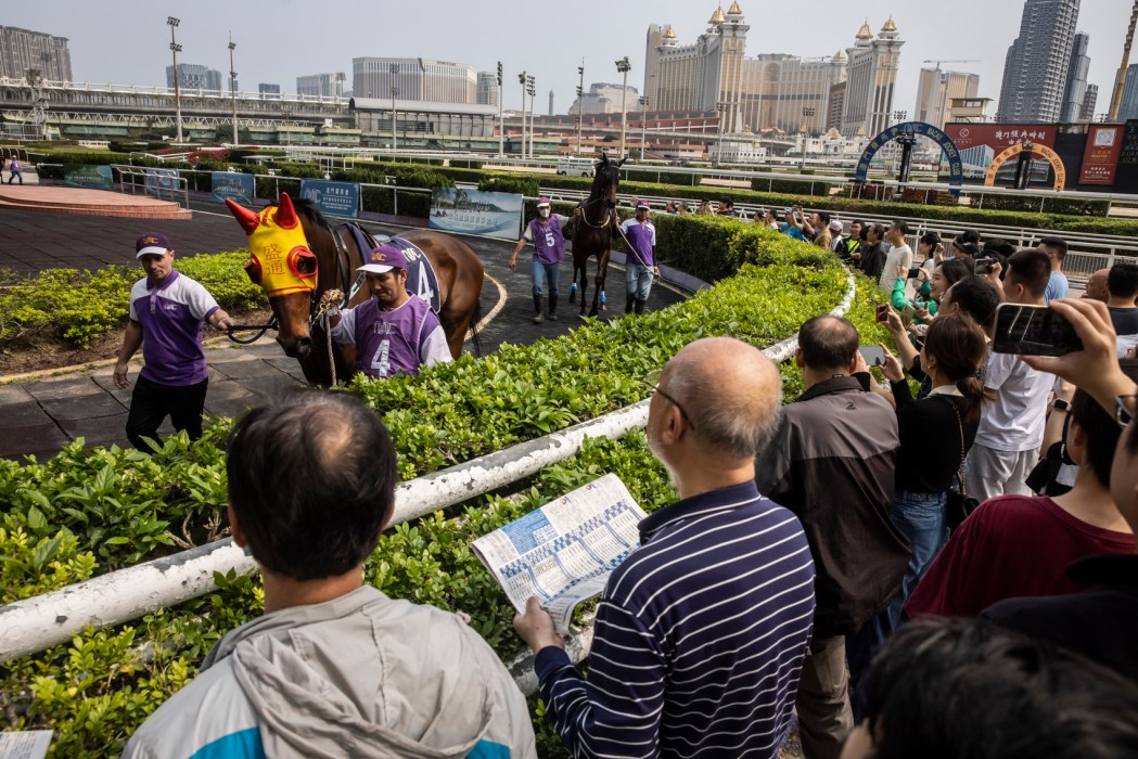 Members of the public watch horses in the parade ring at the Macau Jockey Club on March 17, 2024.