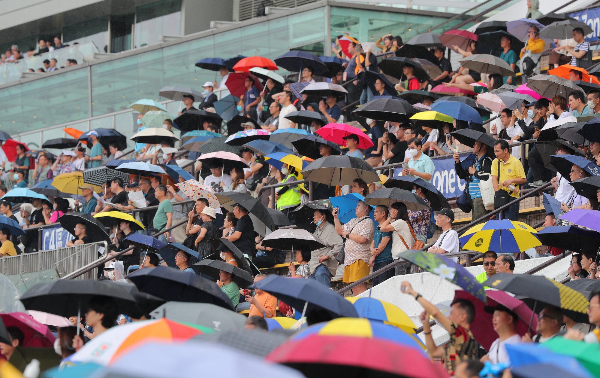 Fans brave the weather at Sha Tin on Sunday.