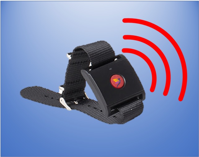 Botón de llamada de emergencia para ancianos 1 receptor + 2 Transmisor  Pager Sistema de alarma inalámbrico con batería Alarma para ancianos SOS  Llamada de emergencia