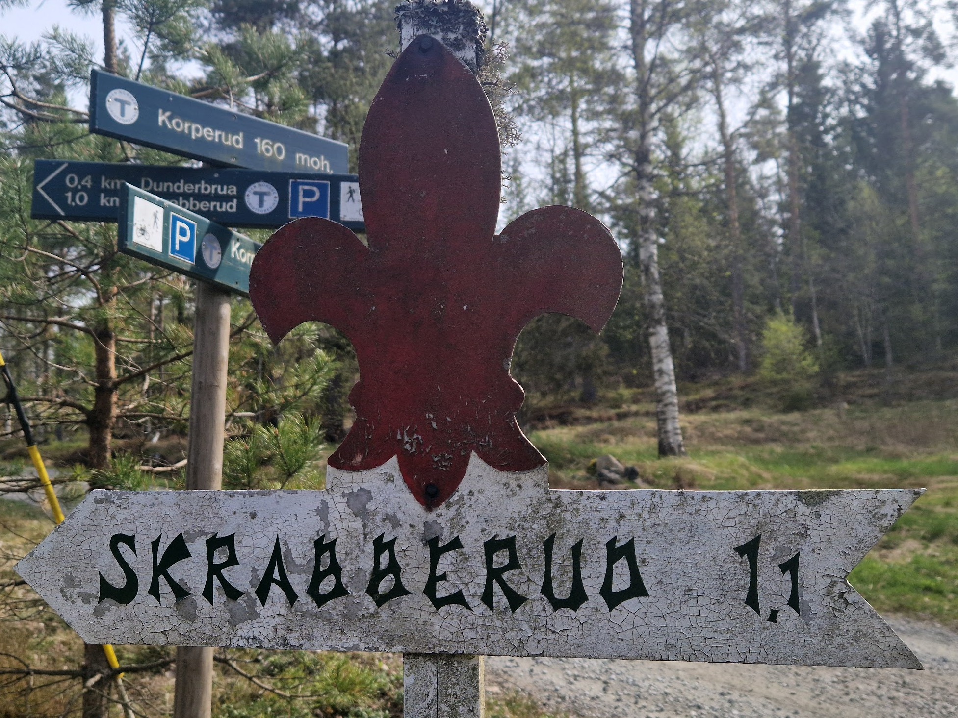 Skjermbilde 2026-05-19 122902