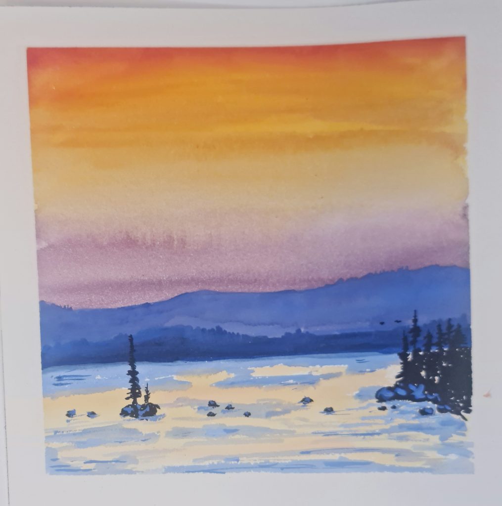 20 x 20