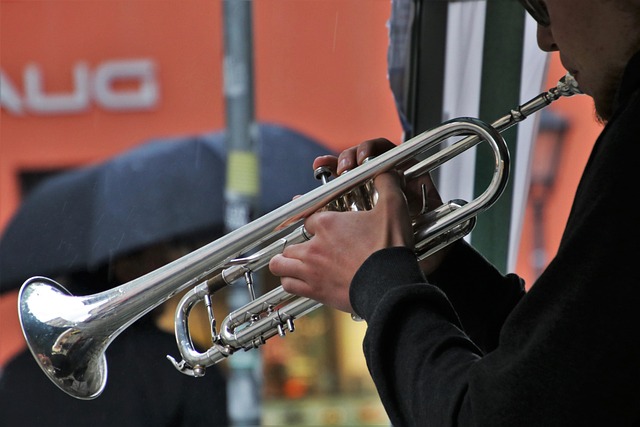 musical instruments, trumpet, jazz, trumpeter, blues, hands, gold, gloss, musicians, sound, play, team, musician, concert, instrument, classic, the contractor, execution, posing, music, entertainment, passion, relaxation, hobby, trumpet, trumpet, trumpet, trumpet, trumpet, jazz