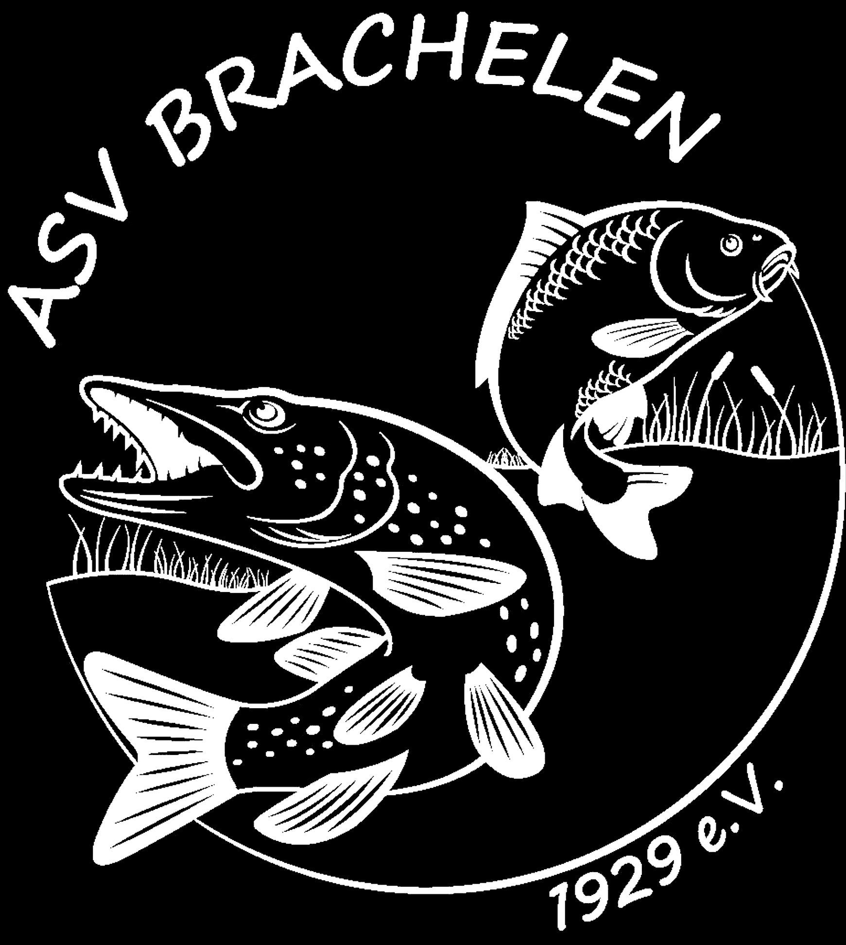 www.asv-brachelen.de