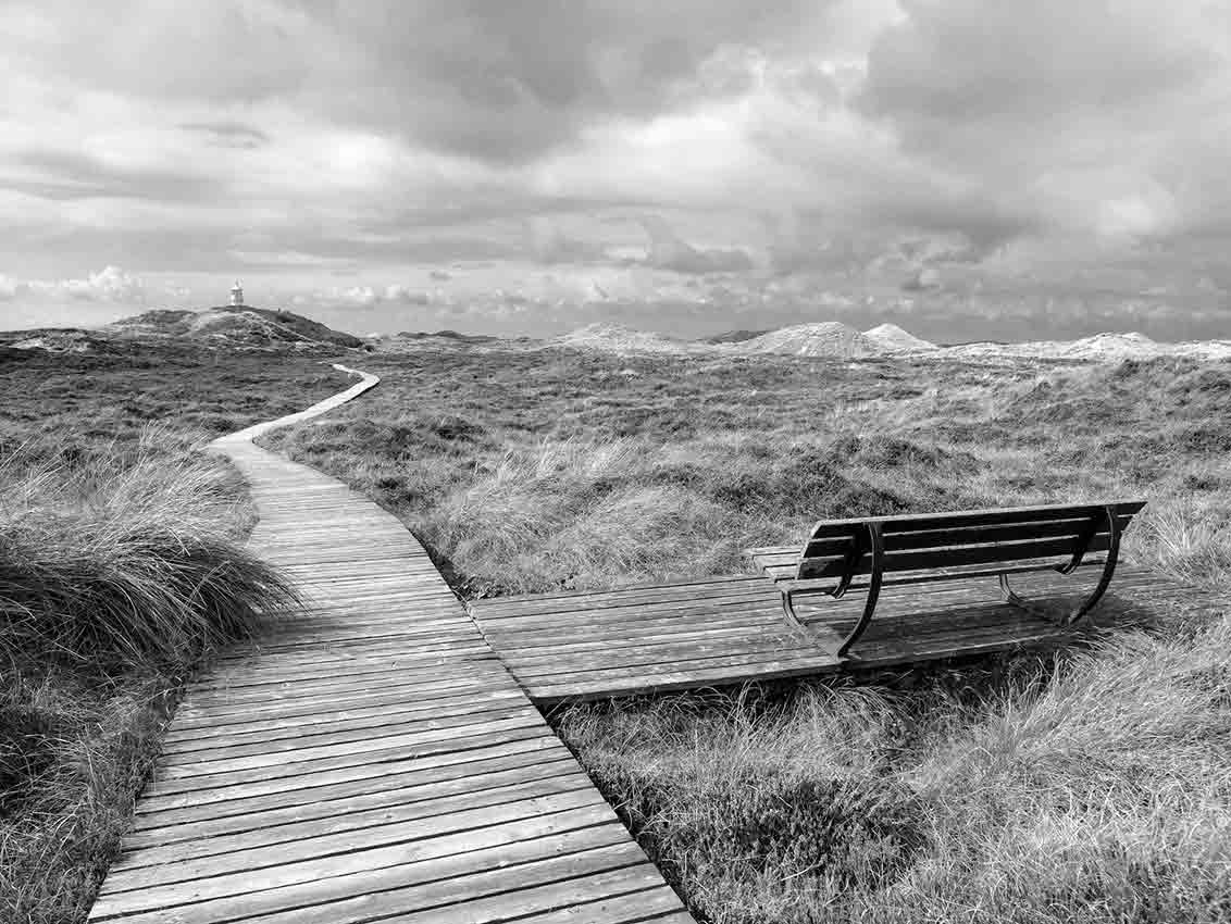 Holzweg mit Bank in Amrum - Nordsee