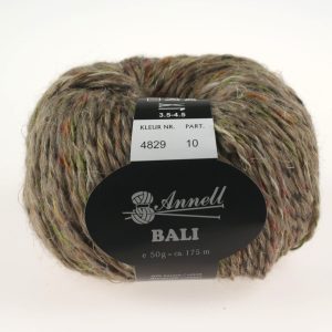 Bali 4829