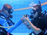 Atlantis Divers Phuket - Phuket's boutique diving school