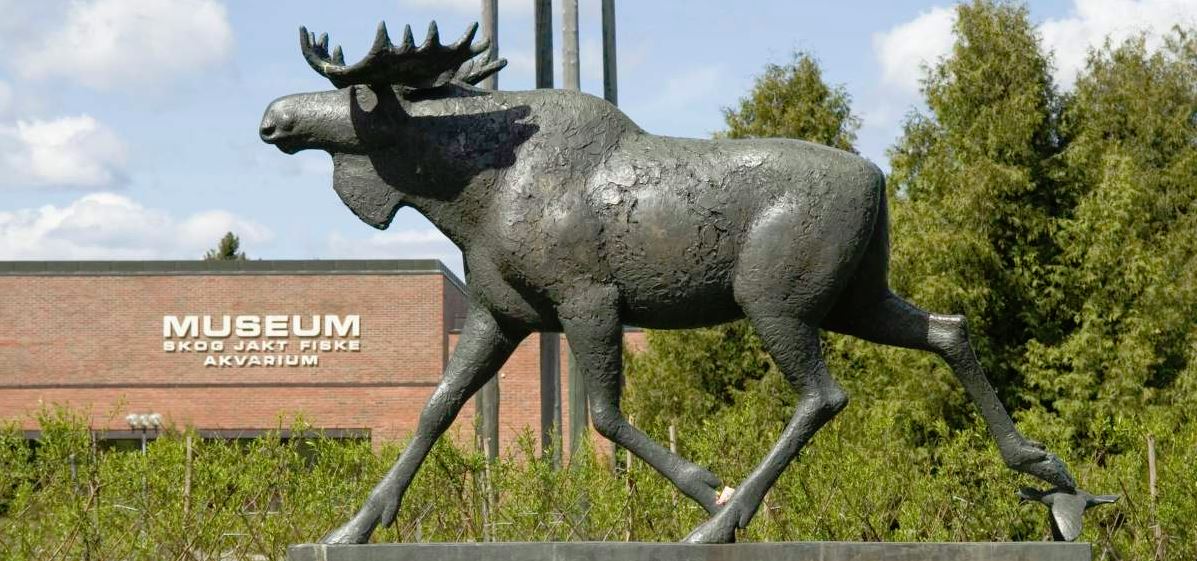 Norwegian Forest Museum Elverum