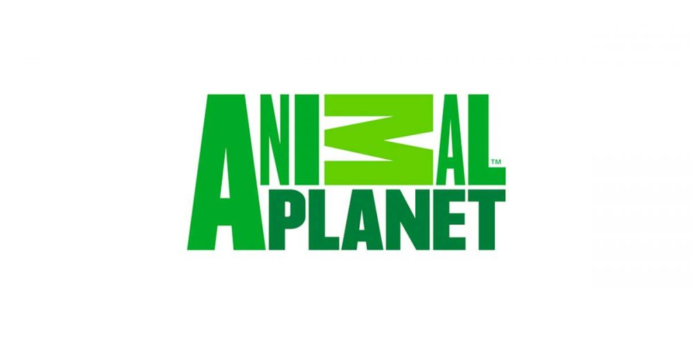 animal-planet-new