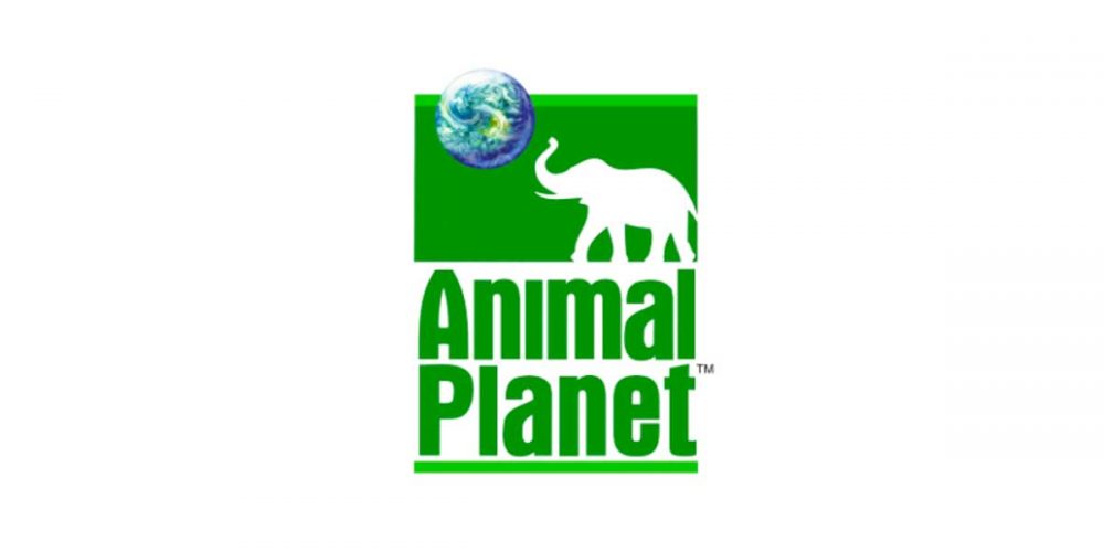 animal-planet-old