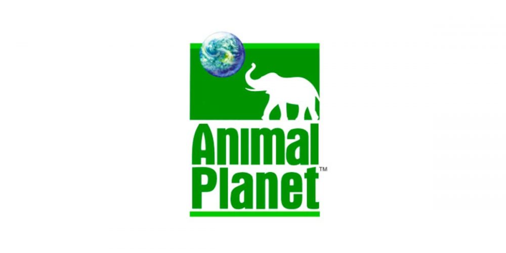 Энимал планет. Телеканал animal Planet. Animal Planet логотип. Брендбук Анимал планет.