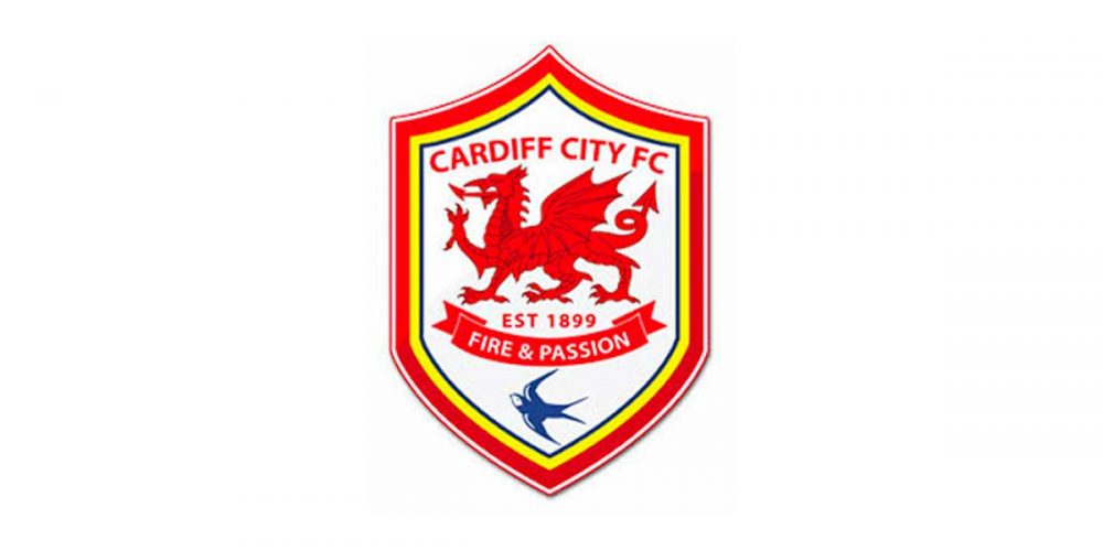 cardiff-city-new