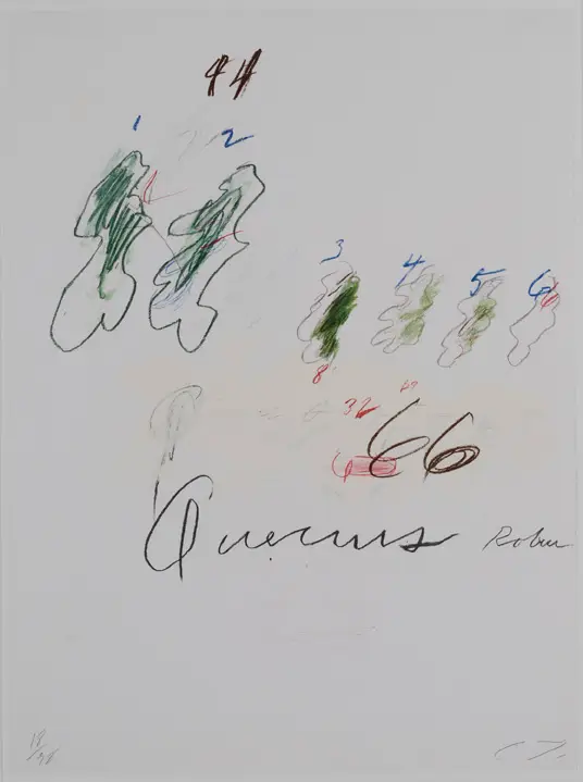 Twombly Quecus Robur