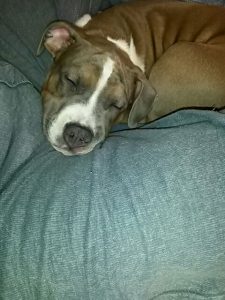IMG-20161204-WA0005
