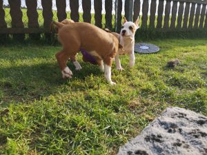 IMG_20190825_182100