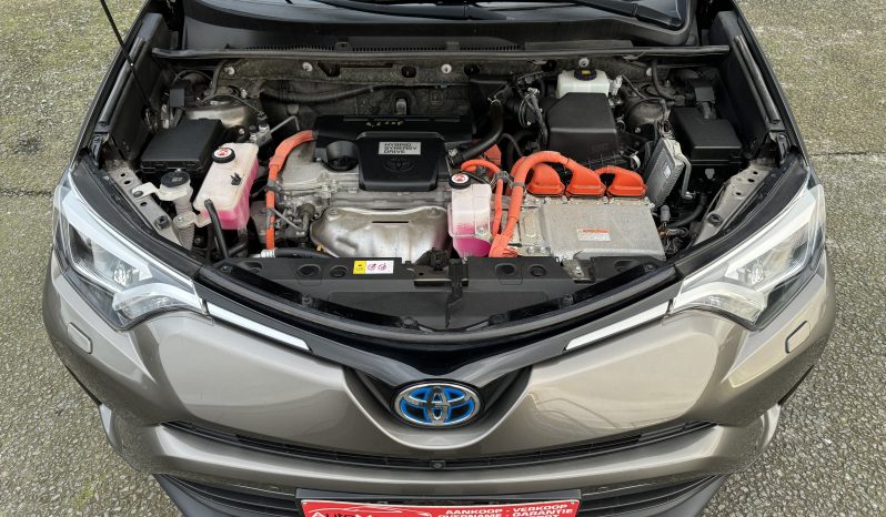 
								Toyota Rav4 2.5i Hybrid 4×4 Automaat 12Mand Garantie full									