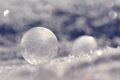 Bubblor i snön