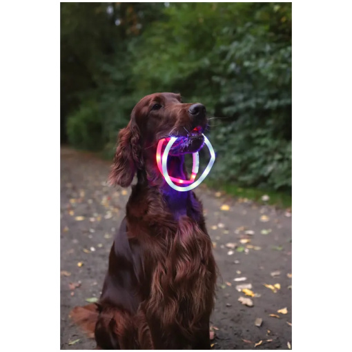 Blinkhalsband Visio till katt med usb laddning - Bild 8