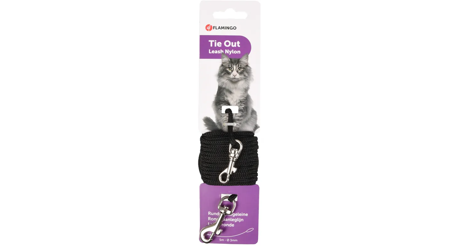 Alternative view of Cat-Lead runt nylon