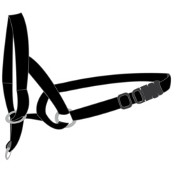 Alternative view of Easy Leader Nossele