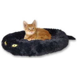 Bädd Cat In Black
