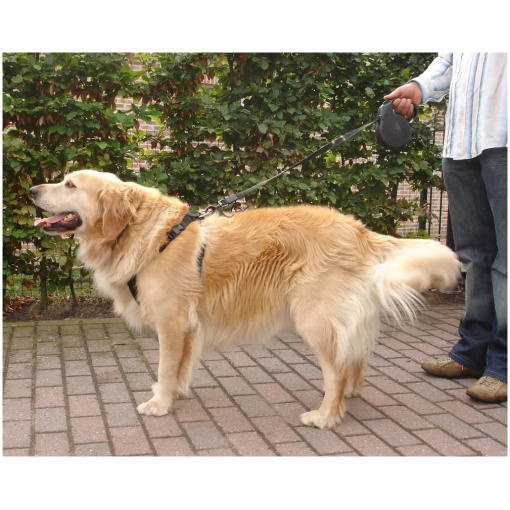 Säkerhetsbälte till hund - Bild 4