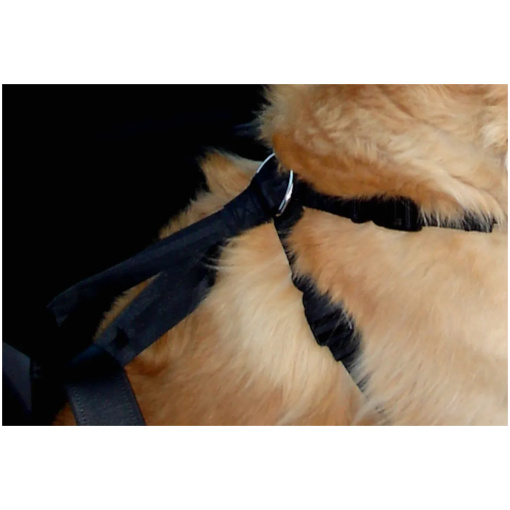 Säkerhetsbälte till hund - Bild 3