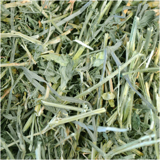 Hö alfalfa - Bild 2