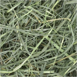 Alternative view of Hö orchard grass