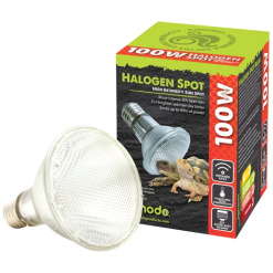 Halogen Spot Bulb
