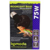 Moonlight Bulb - Bild 5