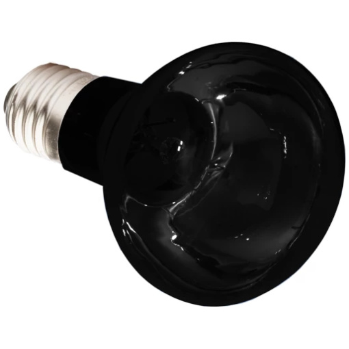 Moonlight Bulb - Bild 6