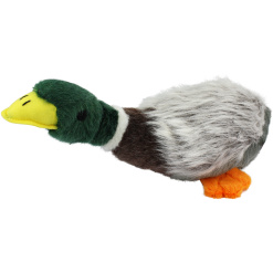 Migrator Mallard - Gräsand