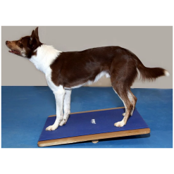 Alternative view of FitPAWS Giant Rocker Board 75 x 75 cm
