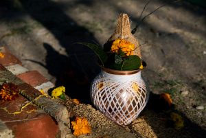 Ayurveda over vrede en gezondheid