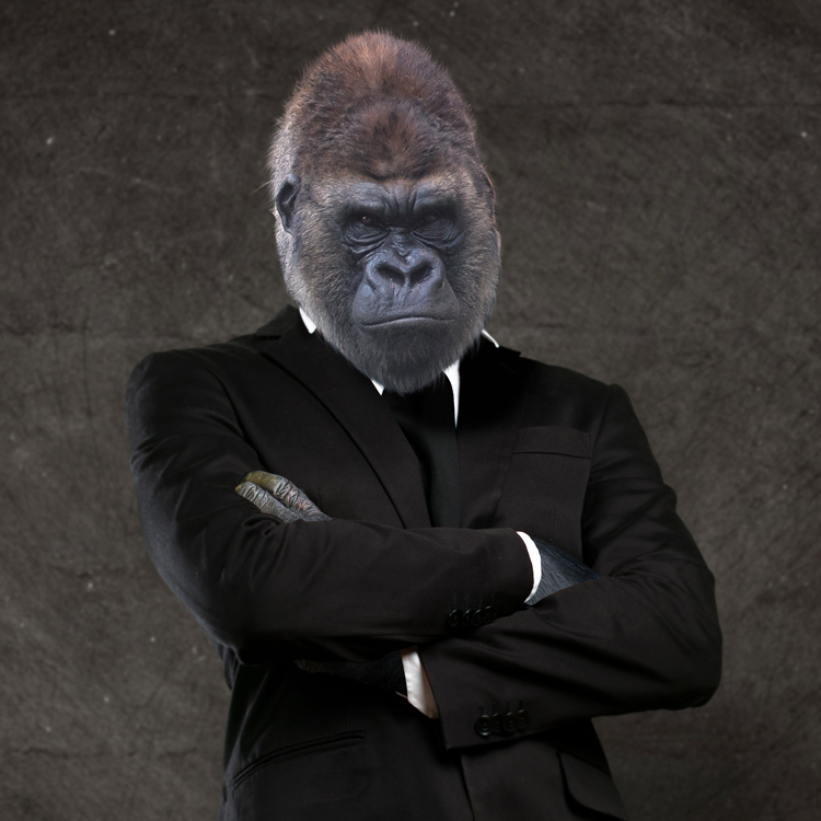 De gorilla die moet luisteren naar de marketing dame