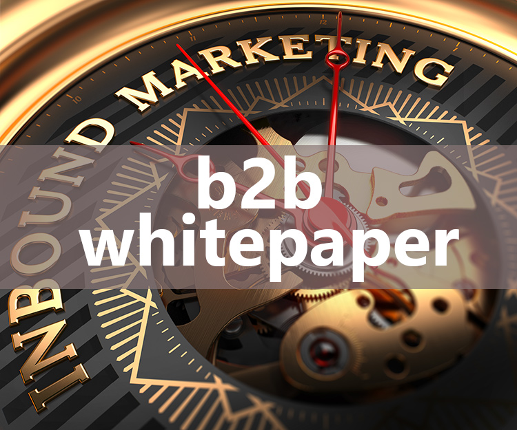 Whitepapers inzetten voor b2b leadgeneratie