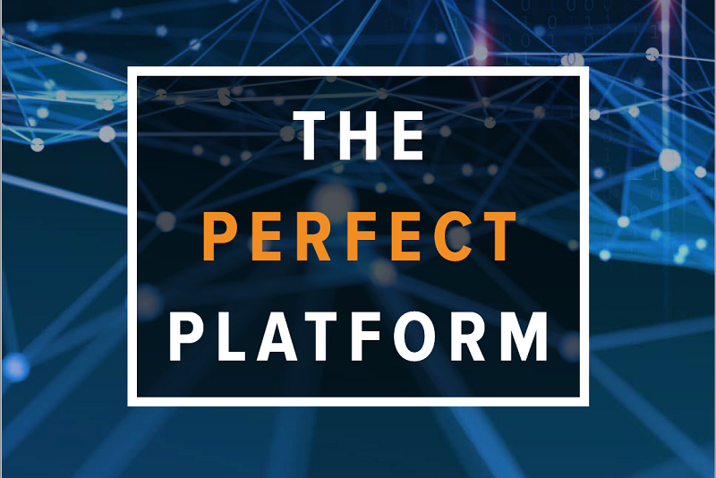 B2B online e-commerce report: The Perfect Platform