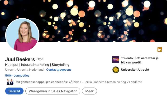 Linkedin profiel voorbeeld kopregel 2