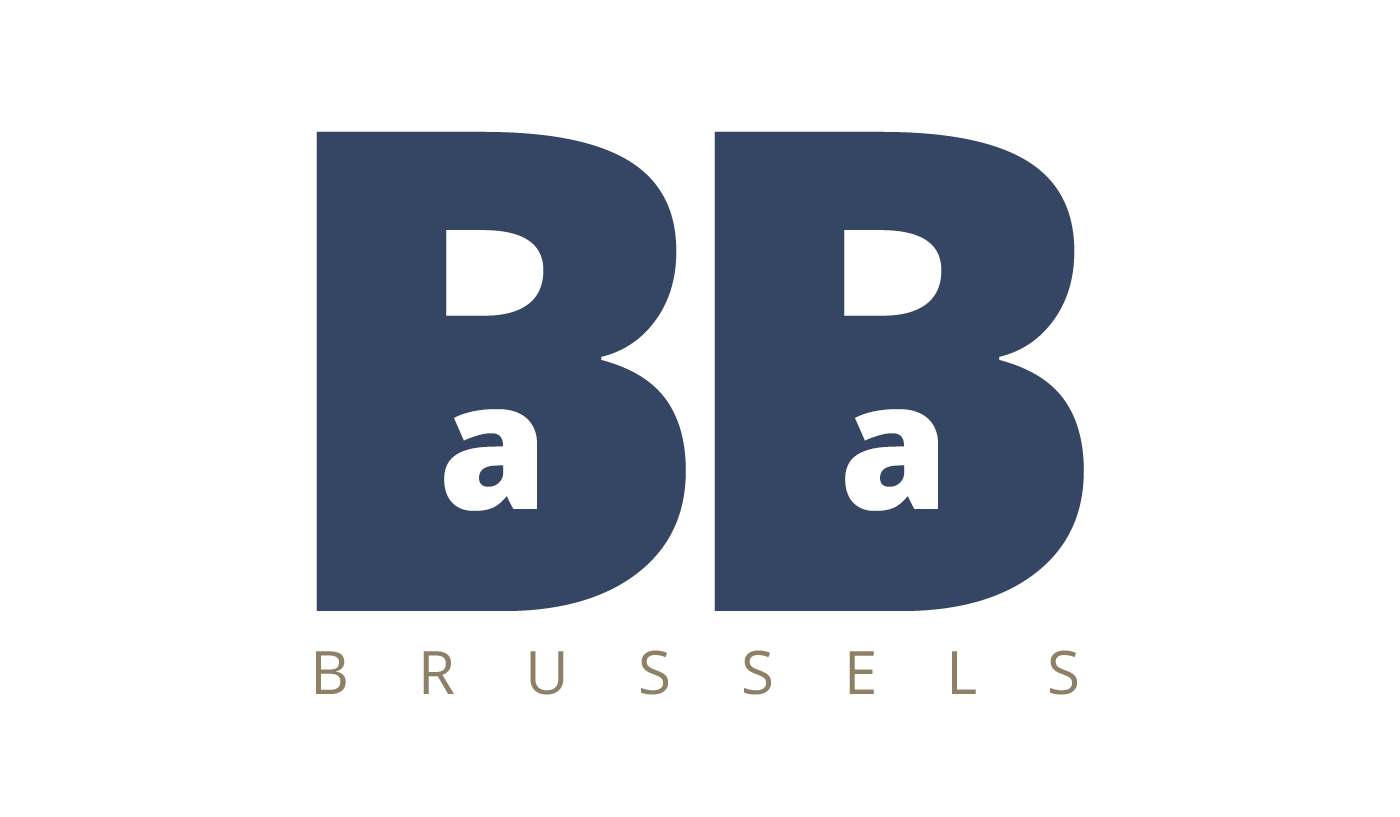 baba.brussels-Furnished rooms in Brussels from 400/month