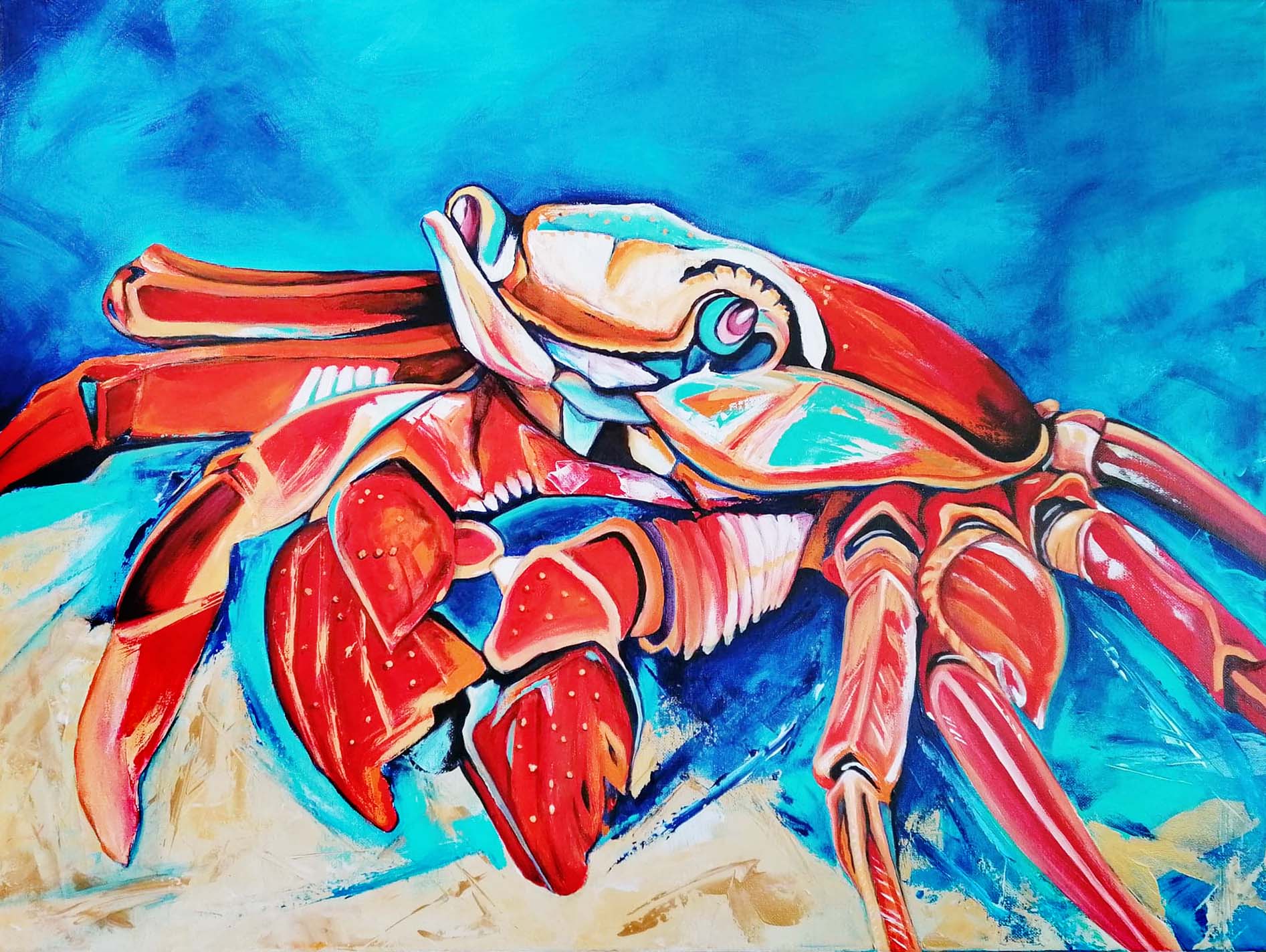 Animals by Baboo Paintings
Crab