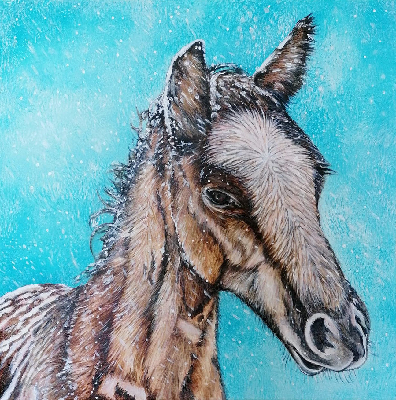 Art by Baboo Paintings.
Poulain mustang dans la neige.