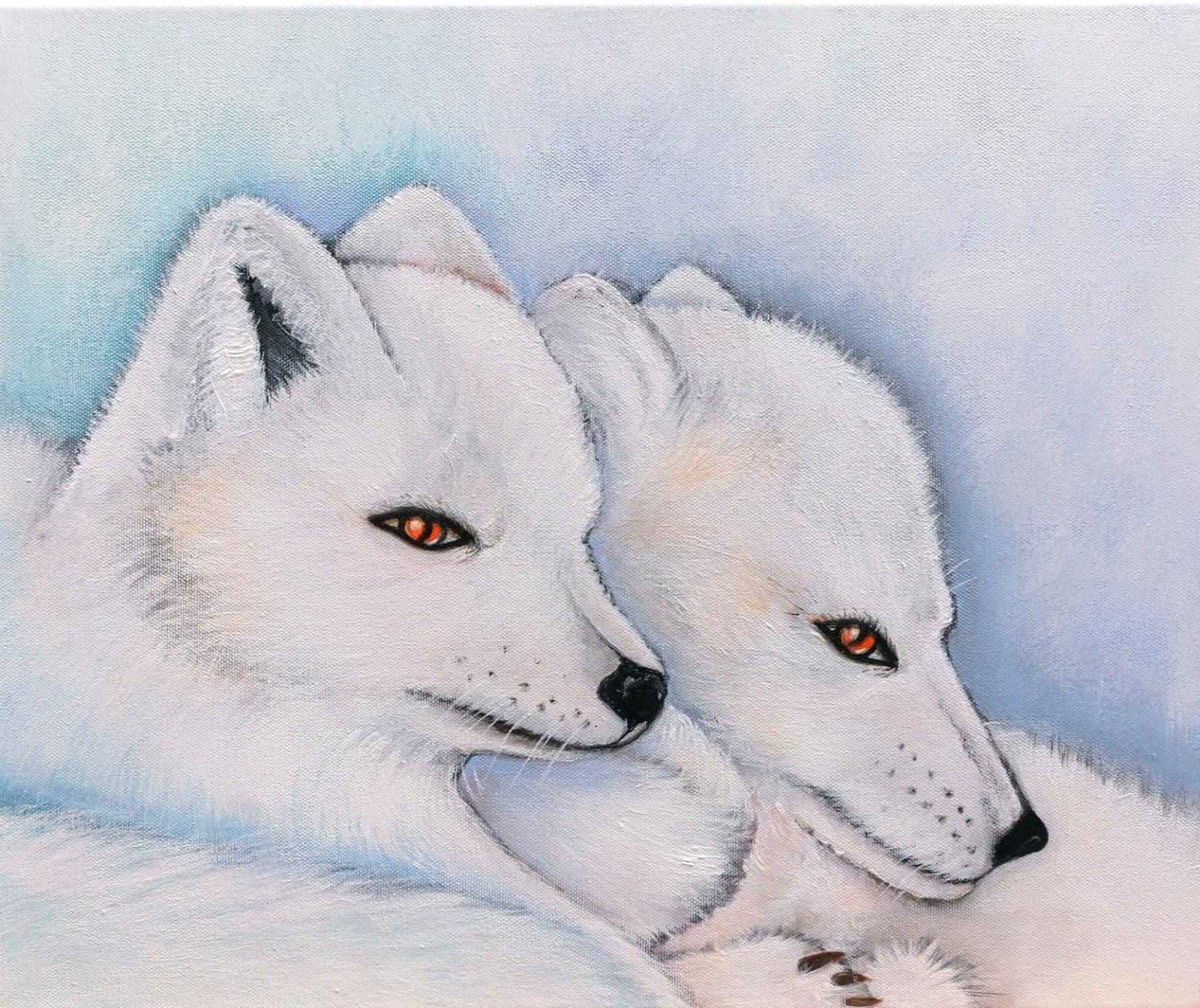 Baboo Paintings
Polar Foxes